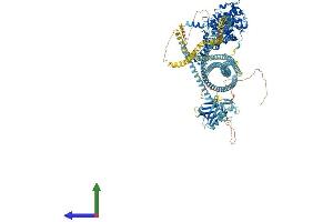 AlphaFold protein structure predicition of Human Recombinant ROCK2 Protein, UniprotID O75116
