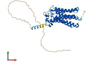 AlphaFold protein structure predicition of Mouse Recombinant Adipor1 Protein, UniprotID Q91VH1