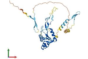 AlphaFold protein structure predicition of Human Recombinant GRXCR1 Protein, UniprotID A8MXD5