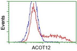 HEK293T cells transfected with either RC210445 overexpress plasmid (Red) or empty vector control plasmid (Blue) were immunostained by anti-ACOT12 antibody (ABIN2454307), and then analyzed by flow cytometry. (ACOT12 anticorps)