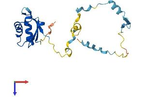 AlphaFold protein structure predicition of Human Recombinant RCAN2 Protein, UniprotID Q14206