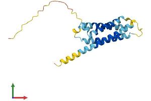 AlphaFold protein structure predicition of Human Recombinant PLLP Protein, UniprotID Q9Y342 (Plasmolipin Protein (AA 1-182) (His tag))
