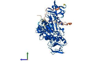AlphaFold protein structure predicition of Human Recombinant AIFM3 Protein, UniprotID Q96NN9