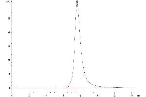 The purity of Human FGFR2 beta (IIIb) is greater than 95 % as determined by SEC-HPLC.