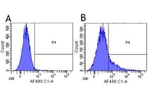 Flow-cytometry using the anti-CD40L research biosimilar antibody Ruplizumab (hu5c8, )  Human lymphocytes were stained with an isotype control (panel A) or the rabbit-chimeric version of Ruplizimab ( panel B) at a concentration of 1 µg/ml for 30 mins at RT. (Recombinant CD40L (Ruplizumab Biosimilar) anticorps)