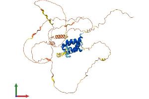 AlphaFold protein structure predicition of Mouse Recombinant Pou3f3 Protein, UniprotID P31361