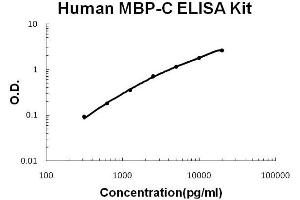 Human MBP-C/MBL2 Accusignal ELISA Kit Human MBP-C/MBL2 AccuSignal ELISA Kit standard curve.