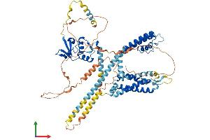 AlphaFold protein structure predicition of Human Recombinant KCND3 Protein, UniprotID Q9UK17