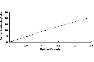 Typical standard curve (SIRPB1 Kit ELISA)