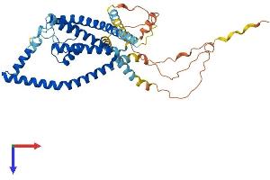 AlphaFold protein structure predicition of Human Recombinant KCNK12 Protein, UniprotID Q9HB15
