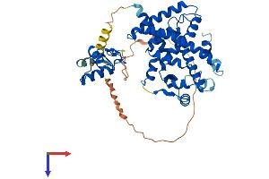 AlphaFold protein structure predicition of Human Recombinant PPARD Protein, UniprotID Q03181