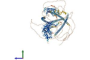 AlphaFold protein structure predicition of Human Recombinant RPGRIP1 Protein, UniprotID Q96KN7