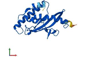 AlphaFold protein structure predicition of Human Recombinant UFC1 Protein, UniprotID Q9Y3C8