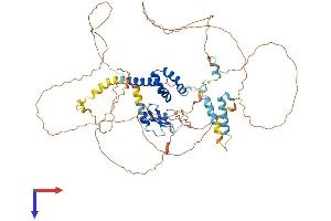 AlphaFold protein structure predicition of Mouse Recombinant Fbxo43 Protein, UniprotID Q8CDI2