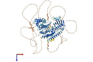 AlphaFold protein structure predicition of Human Recombinant PLK4 Protein, UniprotID O00444
