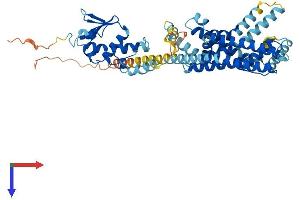 AlphaFold protein structure predicition of Mouse Recombinant Kcns1 Protein, UniprotID O35173