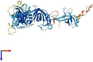 AlphaFold protein structure predicition of Mouse Recombinant Eefsec Protein, UniprotID Q9JHW4
