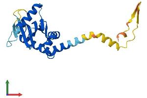 AlphaFold protein structure predicition of Human Recombinant AP3S2 Protein, UniprotID P59780
