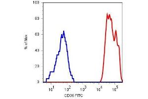 Surface staining of human platelets with anti-CD36 (TR9) FITC.
