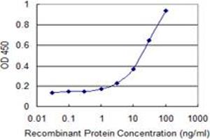 Detection limit for recombinant GST tagged RARRES2 is 0. (Chemerin anticorps  (AA 17-163))