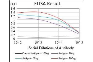 Fig. (CD200 anticorps  (AA 56-257))
