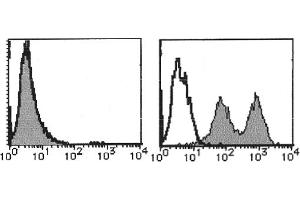 Flow Cytometry (FACS) image for anti-Integrin, alpha 7 (ITGA7) antibody (PE) (ABIN487464) (ITGA7 anticorps  (PE))