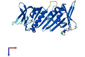 AlphaFold protein structure predicition of Mouse Recombinant Hus1 Protein, UniprotID Q8BQY8