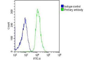 Overlay histogram showing U-2OS cells stained with (ABIN6242972 and ABIN6578632) (green line).