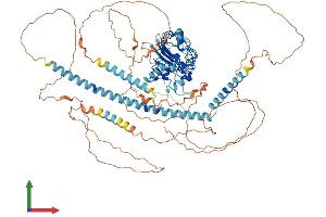 AlphaFold protein structure predicition of Human Recombinant CEP97 Protein, UniprotID Q8IW35