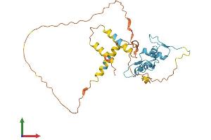 AlphaFold protein structure predicition of Mouse Recombinant Klf6 Protein, UniprotID O08584