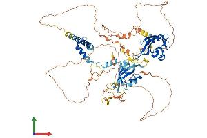 AlphaFold protein structure predicition of Human Recombinant ARNT2 Protein, UniprotID Q9HBZ2