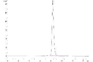 The purity of Human IFN alpha is greater than 95 % as determined by SEC-HPLC. (IFNA Protein (AA 27-243) (His tag))