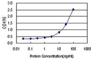 HPX (Human) Matched Antibody Pair