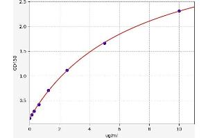 Typical standard curve (Tumor Marker DR-70 Kit ELISA)