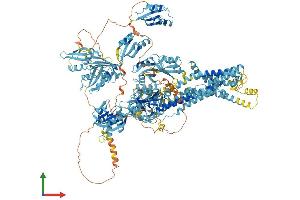 AlphaFold protein structure predicition of Mouse Recombinant Atp7a Protein, UniprotID Q64430