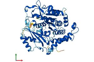 AlphaFold protein structure predicition of Human Recombinant TUBG1 Protein, UniprotID P23258