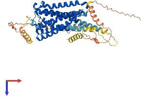 AlphaFold protein structure predicition of Human Recombinant CNR1 Protein, UniprotID P21554