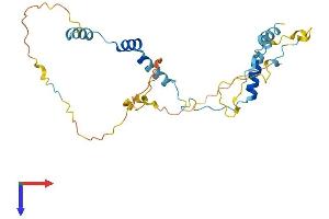 AlphaFold protein structure predicition of Human Recombinant PPP1R35 Protein, UniprotID Q8TAP8