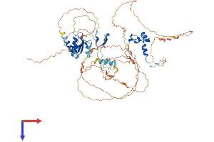 AlphaFold protein structure predicition of Human Recombinant DBF4B Protein, UniprotID Q8NFT6