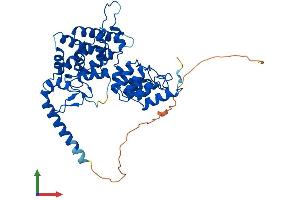 AlphaFold protein structure predicition of Mouse Recombinant Ankmy2 Protein, UniprotID Q3TPE9