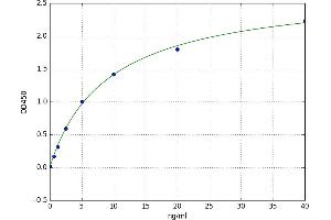 A typical standard curve