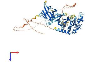 AlphaFold protein structure predicition of Mouse Recombinant Chek2 Protein, UniprotID Q9Z265