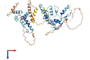 AlphaFold protein structure predicition of Human Recombinant ZNF75D Protein, UniprotID P51815