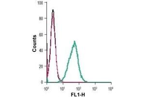 Cell surface detection of P2RY6 live intact mouse J774 macrophage cells: (black line) Cells.