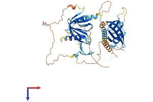 AlphaFold protein structure predicition of Mouse Recombinant Apbb3 Protein, UniprotID Q8R1C9