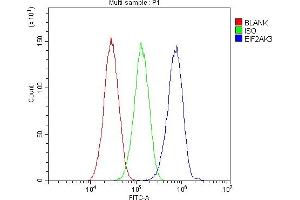 Flow Cytometry analysis of HepG2 cells using anti-PERK antibody (ABIN5693216). (PERK anticorps  (AA 222-334))