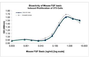 SDS-PAGE of Mouse Fibroblast Growth Factor basic Recombinant Protein Mouse Fibroblast Growth Factor basic Recombinant Protein. (FGF2 Protéine)
