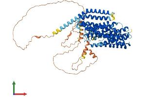 AlphaFold protein structure predicition of Human Recombinant SLC20A2 Protein, UniprotID Q08357