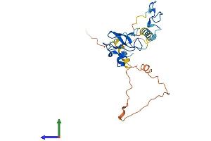 AlphaFold protein structure predicition of Human Recombinant ZCCHC24 Protein, UniprotID Q8N2G6
