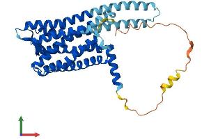 AlphaFold protein structure predicition of Human Recombinant GPR78 Protein, UniprotID Q96P69